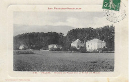 66)    PRADES  - Groupe De Villas Sur La Route De Molitg - Prades