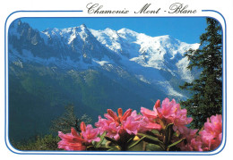 CPSM Chamonix Mont Blanc       L2863 - Chamonix-Mont-Blanc