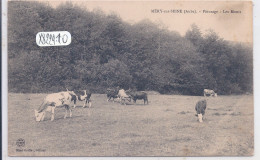 MERY-SUR-SEINE- PATURAGE- LES MONTS- LES VACHES - Autres & Non Classés