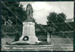 Ancona Osimo Foto FG Cartolina ZKM7474 - Ancona