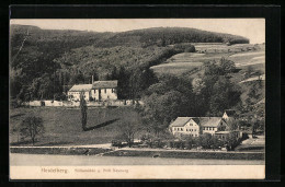 AK Heidelberg, Stiftsmühle Und Neuburg  - Heidelberg