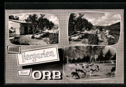 AK Bad Orb, Café Tiergarten  - Bad Orb