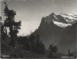 Photo Wetterhorn Berner Alpen Schweiz Pleyer Zürich - Europa