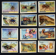 Meurisse - Ca 1930 - 4 - Les Arachnides, Arachnids - Full Serie - Sonstige & Ohne Zuordnung