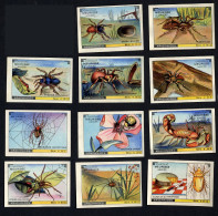 Meurisse - Ca 1930 - 4 - Les Arachnides, Arachnids - Serie (no 1 Missing) - Other & Unclassified