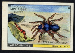 Meurisse - Ca 1930 - 4 - Les Arachnides, Arachnids - 4 - Ctézine Chasseur, Spider - Other & Unclassified