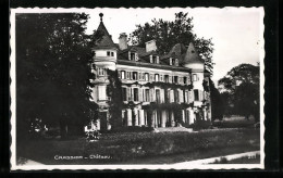 AK Crassier, Blick Auf Château  - Crassier