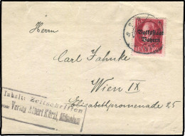 Altdeutschland Bayern, 1919, 119 A, Brief - Autres & Non Classés