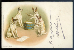 Cpa Illustrée Chiens Musiciens Tambour Orchestre  STEP118 - Hunde