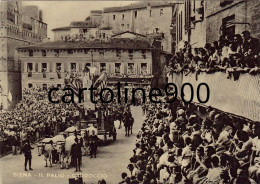 Toscana-siena Il Palio Carroccio Differente Bella Animatissima Veduta Sfilata Carroccio Anni 50 - Siena