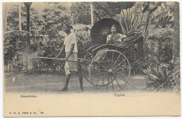 Picture Post Card Ceylon Ginricksha - Sri Lanka (Ceylon) (1948-...)