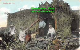 R412016 Hawaiian Hut. T. H. M. H. Weinberg - World