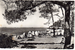 Ronce Les Bains La Plage - Sonstige & Ohne Zuordnung