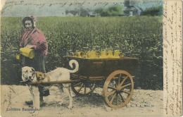 Laitière Flamande - Equipaggiamenti