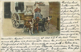 La Laitières            (  BELGE - HOND - CHIEN - Attelage .............................. Melk - Lait - Milk .....  ) - Equipaggiamenti