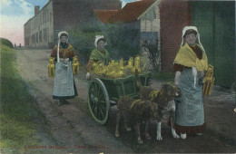 La Laitières            (  BELGE - HOND - CHIEN - Attelage .............................. Melk - Lait - Milk .....  ) - Equipaggiamenti