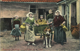 La Laitières  (  BELGE - HOND - CHIEN - Attelage .... Melk - Lait - Milk .....  ) - Attelages