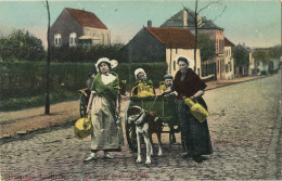 La Laitières  (  BELGE - HOND - CHIEN - Attelage .... Melk - Lait - Milk .....  ) - Wagengespanne