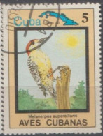 1978 CUBA  USED STAMPS ON BIRDS/ Melanerpes Superciliaris-The West Indian Woodpecker - Songbirds & Tree Dwellers