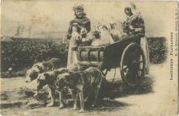 La Laitières  (  BELGE - HOND - CHIEN - Attelage .... Melk - Lait - Milk .....  ) - Attelages