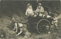 La Laitières  (  BELGE - HOND - CHIEN - Attelage .... Melk - Lait - Milk .....  ) - Equipaggiamenti