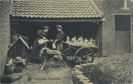 La Laitières  (  BELGE - HOND - CHIEN - Attelage .... Melk - Lait - Milk .....  ) - Wagengespanne