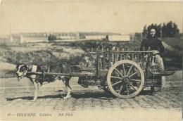 La Laitières  (  BELGE - HOND - CHIEN - Attelage .... Melk - Lait - Milk .....  ) - Attelages