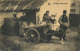 La Laitières  (  BELGE - HOND - CHIEN - Attelage .... Melk - Lait - Milk .....  ) - Attelages