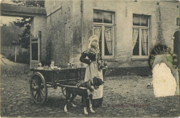 La Laitières  (  BELGE - HOND - CHIEN - Attelage .... Melk - Lait - Milk .....  ) - Teams