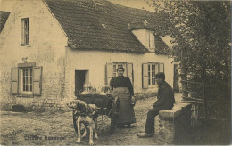 La Laitières  (  BELGE - HOND - CHIEN - Attelage .... Melk - Lait - Milk .....  ) - Attelages