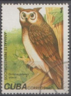 1982 CUBA  USED STAMPS ON BIRDS/ Prehistoric Animals/Ornimegalonyx Oteroi-giant Cuban Owl,an Extinct Genus - Owls