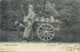 La Laitières  (  BELGE - HOND - CHIEN - Attelage .... Melk - Lait - Milk .....  ) - Teams