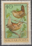1973 HUNGARY  USED STAMPS ON BIRDS/ Troglodytes Troglodytes-The Eurasian Wren - Hirondelles