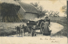 BRUXELLES - BRUSSEL :  La Laitières  (  BELGE - HOND-CHIEN   - Attelage .... Melk - Lait - Milk .....  ) - Spannen