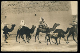 Nomades En Marche 1918 Lehnert & Landrock - Tunisia
