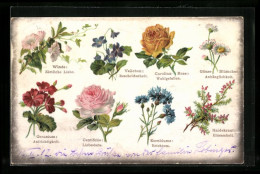 AK Blumen Und Ihre Bedeutungen, Blumentag  - Autres & Non Classés