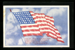 AK Amerika, Nationalflagge  - Genealogie
