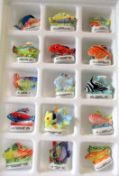 Fèves Brillantes - Poissons Exotiques X 15/18 -  Atlas (logo Soleil) Frais Du Site Déduits - Tiere