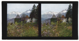 Stereo-Foto Chromoplast-Bild Nr. 81, Ansicht Meran, Das Schloss Planta Oder Greifen  - Stereoscopic