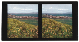 Stereo-Fotografie Chromoplast-Bild Nr. 178, Ansicht Tiberias, Blick Nach Der Stadt Am See Genezareth  - Stereoscopio