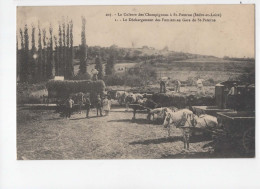 AJC - La Culture Des Champignons à St Paterne - Le Dechargement Des Fumiers En Gare De St Paterne - Autres & Non Classés