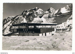 MADONNA  DI  CAMPIGLIO (TN):  BAR-RISTORANTE  MONTE  SPINALE  -  FOTO  -  FG - Alberghi & Ristoranti