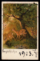 AK Neujahr: Rehe Im Wald - Waldeshauch, SOLINGEN 2a 31.12.1902 - New Year