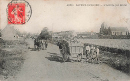 FRANCE - Cayeux Sur Mer - L'arrivée Par Brutel - Carte Postale Ancienne - Cayeux Sur Mer