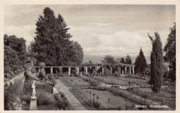 Insel Mainau Im Bodensee - Rosengarten Gl1928 - Konstanz