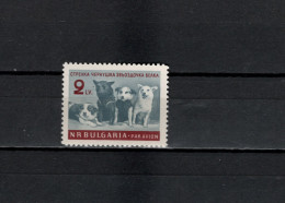 Bulgaria 1961 Space, Cosmonaut Dogs Stamp MNH - Europe