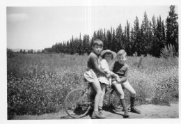 Photographie Photo Vintage Snapshot Enfant Child Vélo Bicyclette Bicycle Jardin  - Andere & Zonder Classificatie