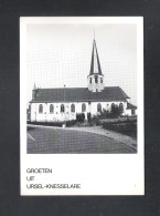 URSEL - KNESSELARE - GROETEN UIT URSEL-KNESSELARE - SINT MEDARDUSKERK   (11.217) - Knesselare