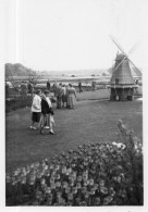 Photographie Photo Vintage Snapshot Site Paysage Landscape Moulin Windmill  - Orte