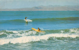 Surfing - Water-skiing